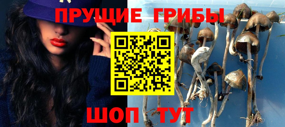 Псилоцибиновые грибы мицелий  Волоколамск 